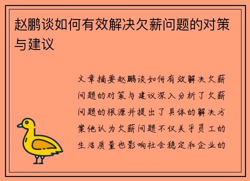 赵鹏谈如何有效解决欠薪问题的对策与建议
