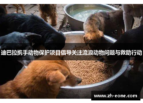 迪巴拉携手动物保护项目倡导关注流浪动物问题与救助行动