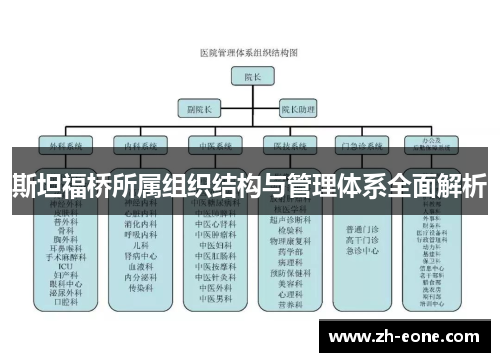 斯坦福桥所属组织结构与管理体系全面解析